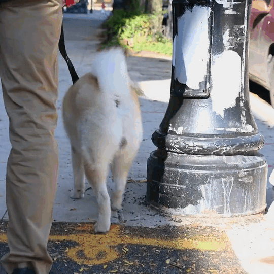 Enjoy Peaceful Walks