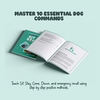 Sit & Stay – 10 Commands Every Dog Should Know