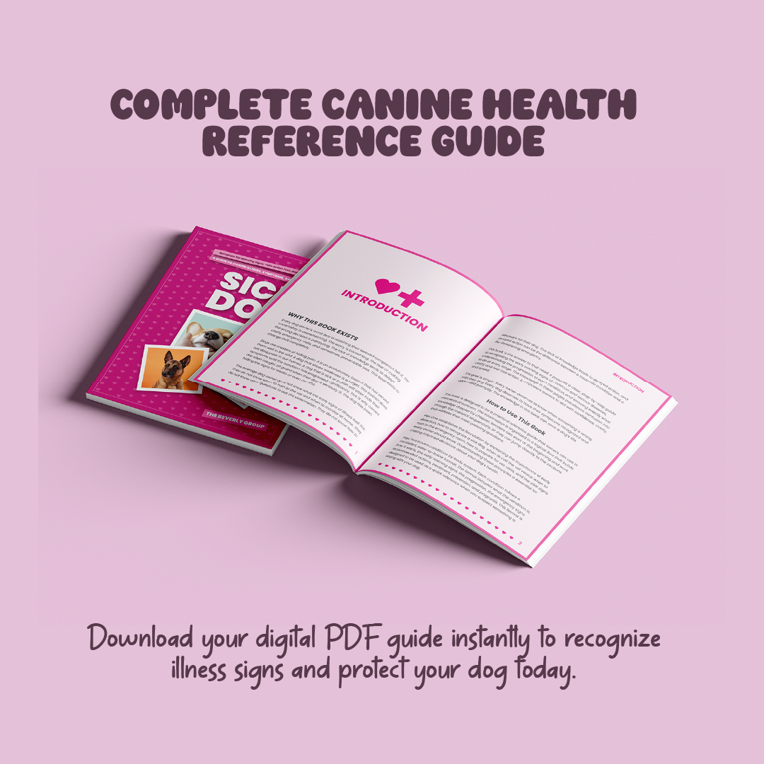 Sick Dog – Know the Signs. Save Your Dog
