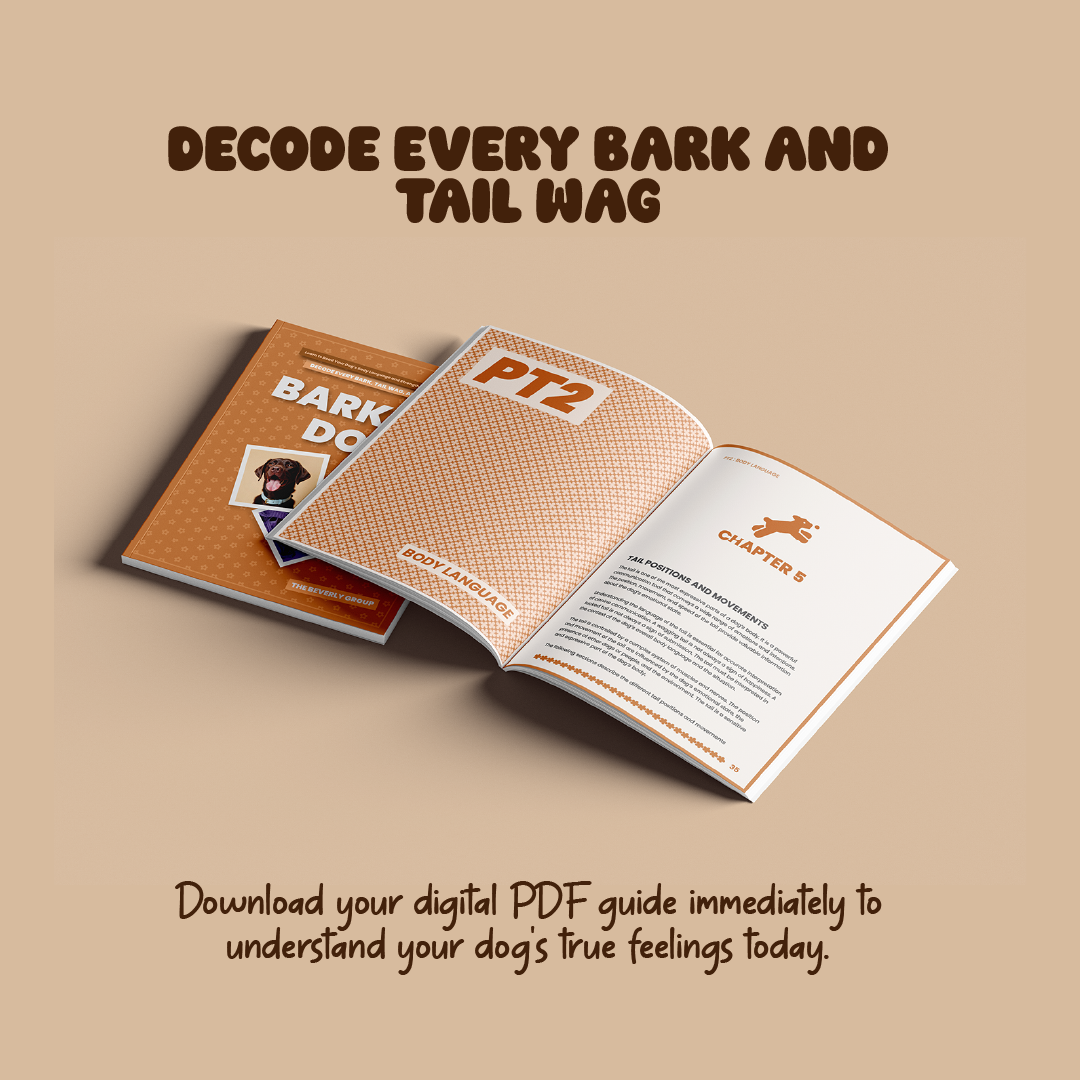 Barking Dog – The Essential Guide to Understanding Your Dog