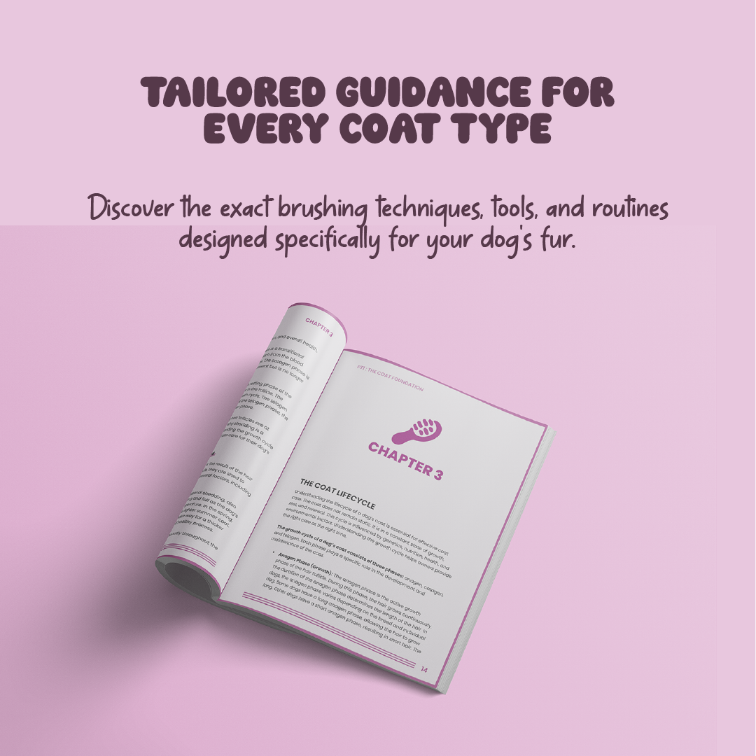 Shiny Coat – Complete Guide to a Glossy, Healthy Coat