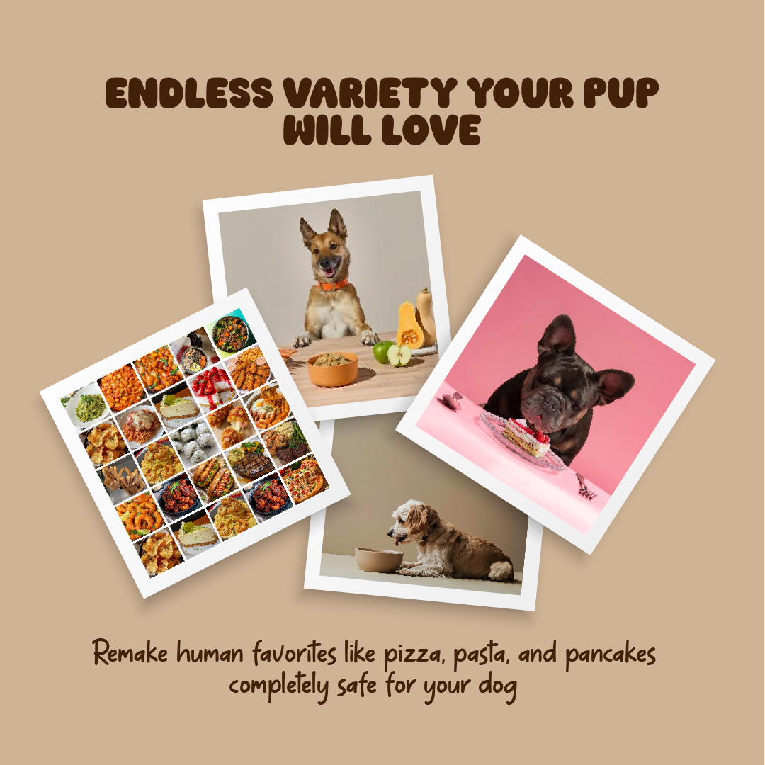 Doggy Dish – Your Dog Deserves Better Than Kibble