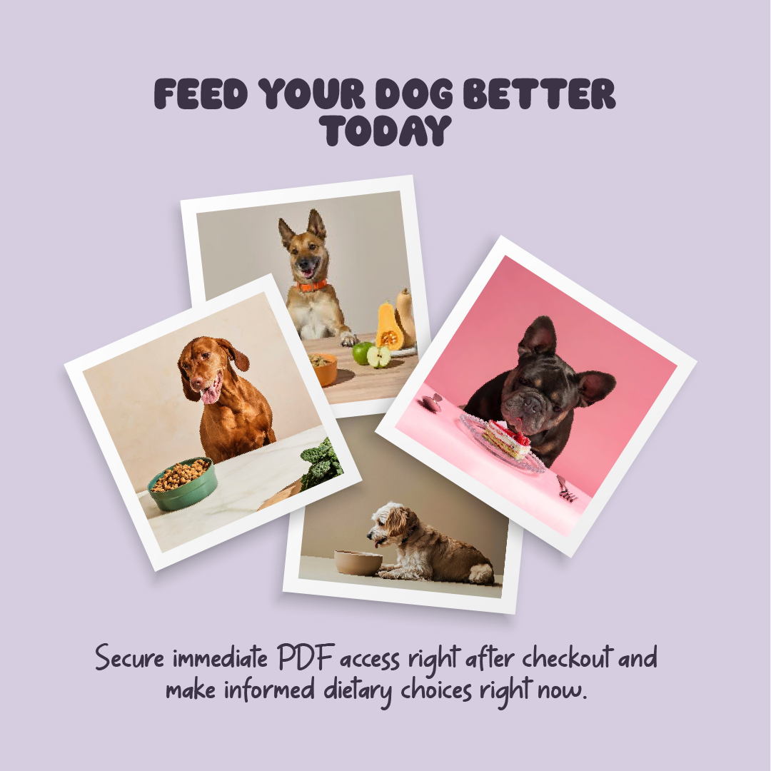 Feed Right – The Complete Guide to Canine Nutrition