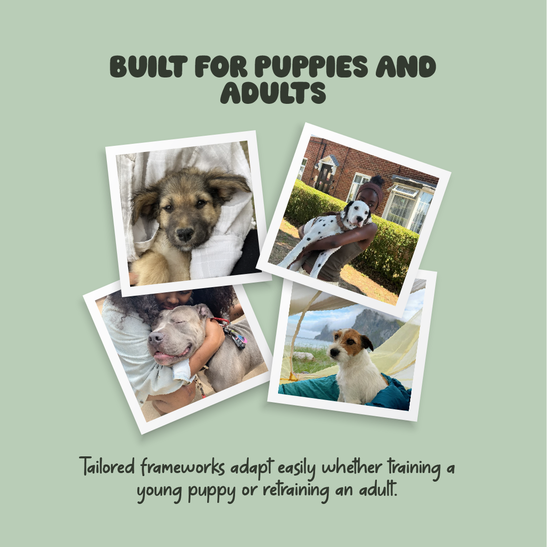 Dog Shit – Potty Training Made Simple
