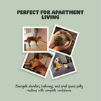 Dog Shit – Potty Training Made Simple