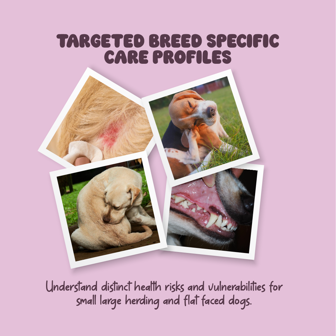 Sick Dog – Know the Signs. Save Your Dog
