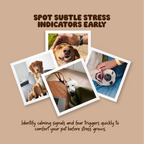 Barking Dog – The Essential Guide to Understanding Your Dog