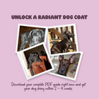 Shiny Coat – Complete Guide to a Glossy, Healthy Coat