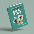 Sit & Stay – 10 Commands Every Dog Should Know